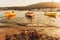 Fishing boats in sunset light, Cadaques