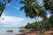 Fishing boats under palmtrees