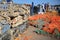 Fishing boxes and colorful fishing nets at the fishing Harbor in Whitstable, UK