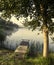 Fishing bridge, morning mist