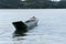 Fishing canoes anchored in the river in Caboto in the city of Candeias (BA