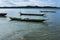 Fishing canoes anchored in the river in Caboto in the city of Candeias (BA