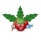 Fishing christmas holly berry with character shape