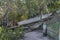 Fishing Dinghy on shore of Beelbi Creek Toogoom