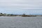 Fishing dock, Hant`s Harbour Newfoundland