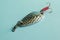 Fishing equipment. One metal fishing lure on a blue background