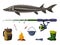 Fishing Equipment Set, Sterlet Freshwater Fish, Fishing Rod, Backpack, Bucket, Bonfire, Rubber Boots Cartoon Vector