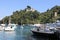 Fishing and excursion boats in the harbor of Portofino, Castello Brown on the hilltop, Liguria, Italy