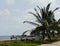 Fishing fisherboat ocean mexico pier boat beach