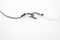 Fishing hook hooked with black and white rope hangs together on