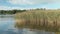 Fishing on a lake overgrown with reeds on a warm autumn day