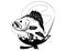 Fishing logo. Black and white illustration of a fish hunting for bait. Predatory fish on the hook. Fishing on the rod