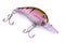 Fishing lure