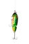 Fishing lure