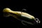 Fishing lure, plastic shad fish, with double hook, isolated on black