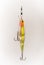 Fishing Lure with Treble Hooks