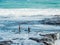 Fishing at Maukatia Maori Bay and Muriwai Beach, , Auckland, New Zealand