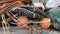 Fishing nets and buoys side view