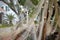 Fishing nets hung on the fence for drying on the background of the house