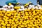 Fishing nets with yellow floats on the pile, close up