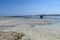 Fishing and pleasure boats on sand at low tide. Fishing boat at ebb tide in Gili Meno, Indonesia. Traditional wooden boat beached.