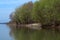 Fishing on the River Danube