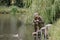 Fishing in river.A fisherman with a fishing rod on the river bank. Man fisherman catches a fish pike.Fishing, spinning