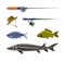 Fishing with River or Freshwater Fish and Rod Vector Set