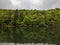 Fishing At RockCliff Lake, George Washington National Forest, West Virginia