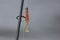 Fishing Rod and Lure