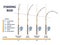 Fishing rod power vs action comparison for curvation angle outline diagram