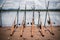 Fishing rods are lined up by the lake to wait for fish to eat bait