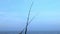 Fishing rods and reels in Port Aransas, Texas on a wooden pier at the Gulf of Mexico with waves on the water. Hand held with tilt