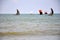 Fishing sailing boats in Negombo, Sri Lanka