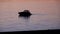 Fishing schooner at sunset, boat silhouette.