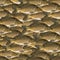 Fishing seamless pattern of fish. Background from mirror carp fish