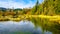 Fishing the spawning grounds of the Stave River downstream of the Ruskin Dam at Hayward Lake near Mission, BC, Canada