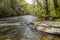 Fishing stream Asheville North Carolina