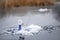 Fishing tackle for winter fishing on the ice of a frozen lake