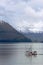 Fishing Trawler on Glacier Bay Alaska