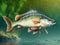 Fishing trophy - big freshwater perch in water on green background