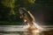 Fishing trophy - large freshwater bass jumps out of the water into the air on a green background.