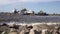 The fishing village on the bank of the North Sea, old boats of fishermen and wooden houses, Russia,Gulf of Finland