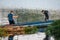 Fishing and young fishermans on the Danube in Novi Sad.