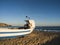 Fishingboat on the beach