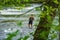 Fishman Fishing in the Rapids of Roanoke River