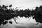 Fishnets in the rural countryside of Kerala, India. Reflection in the sea, cloudy sky. Black and white