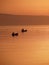 Fishnig boats in sunset at sea