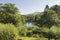 The Fishpond, Craig-y-Nos Country Park, Pen-y-cae, Brecon Beacons National Park, Powys, South Wales, UK