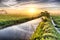 Fishpond followed by very vast, broad, extensive, spacious rice field